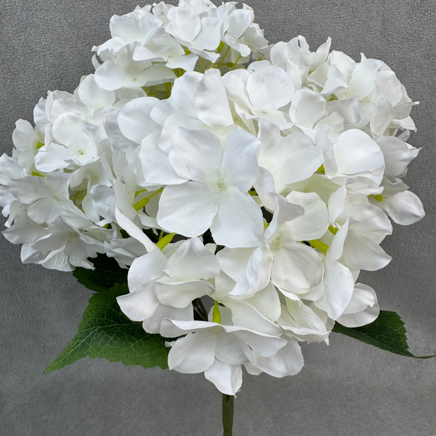 White Silk Amaranthus Stem
