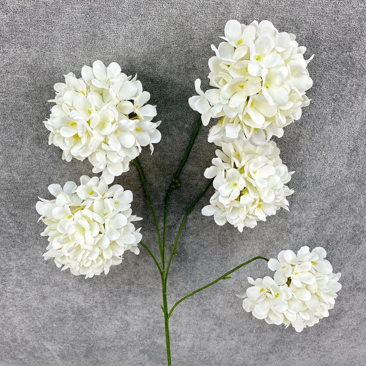 Ivory Silk Candy Hydrangea Bush - 5 Heads