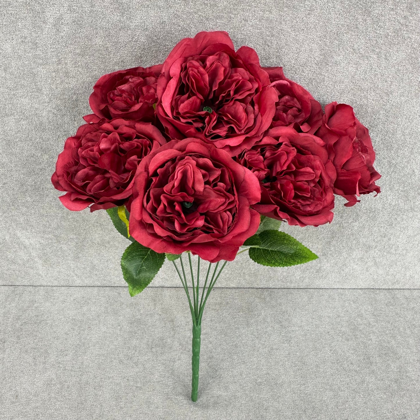 Red Silk Austin Rose Bush - 7 Heads