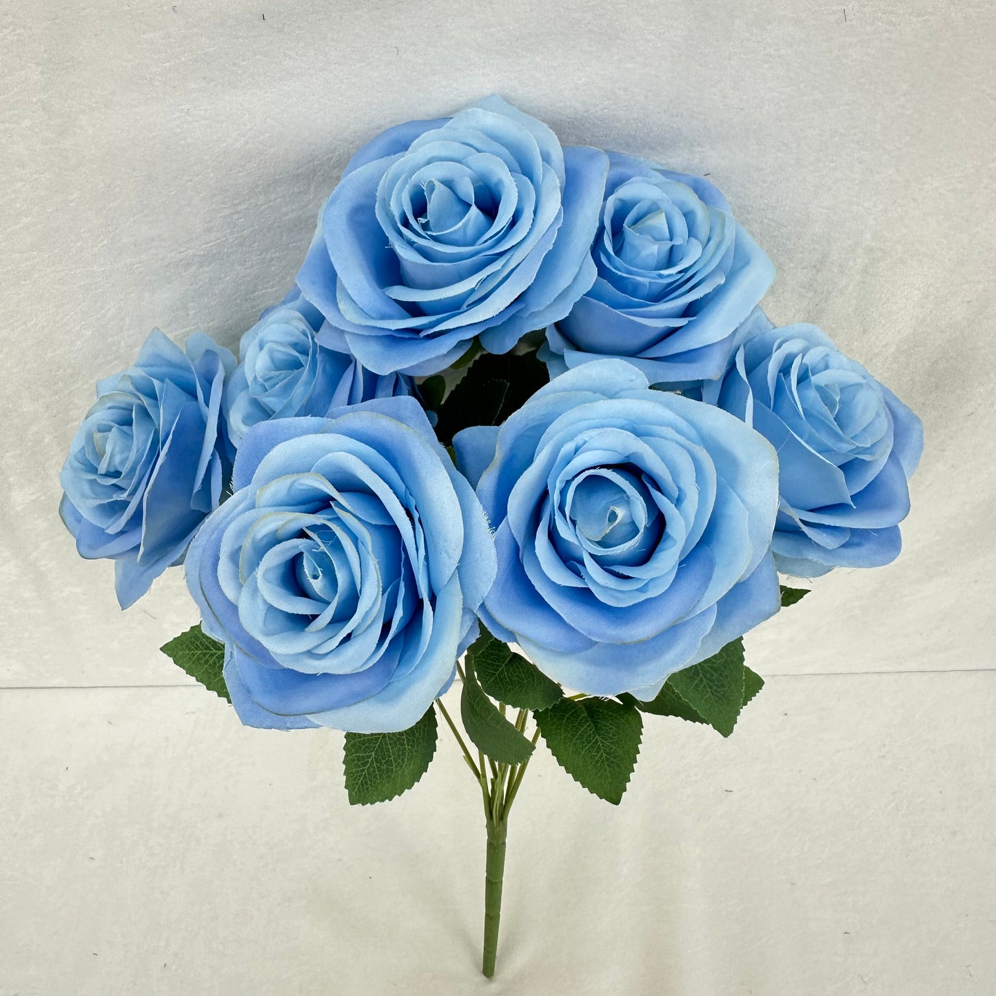 Blue Silk Happiness Rose Bush - 7 Heads