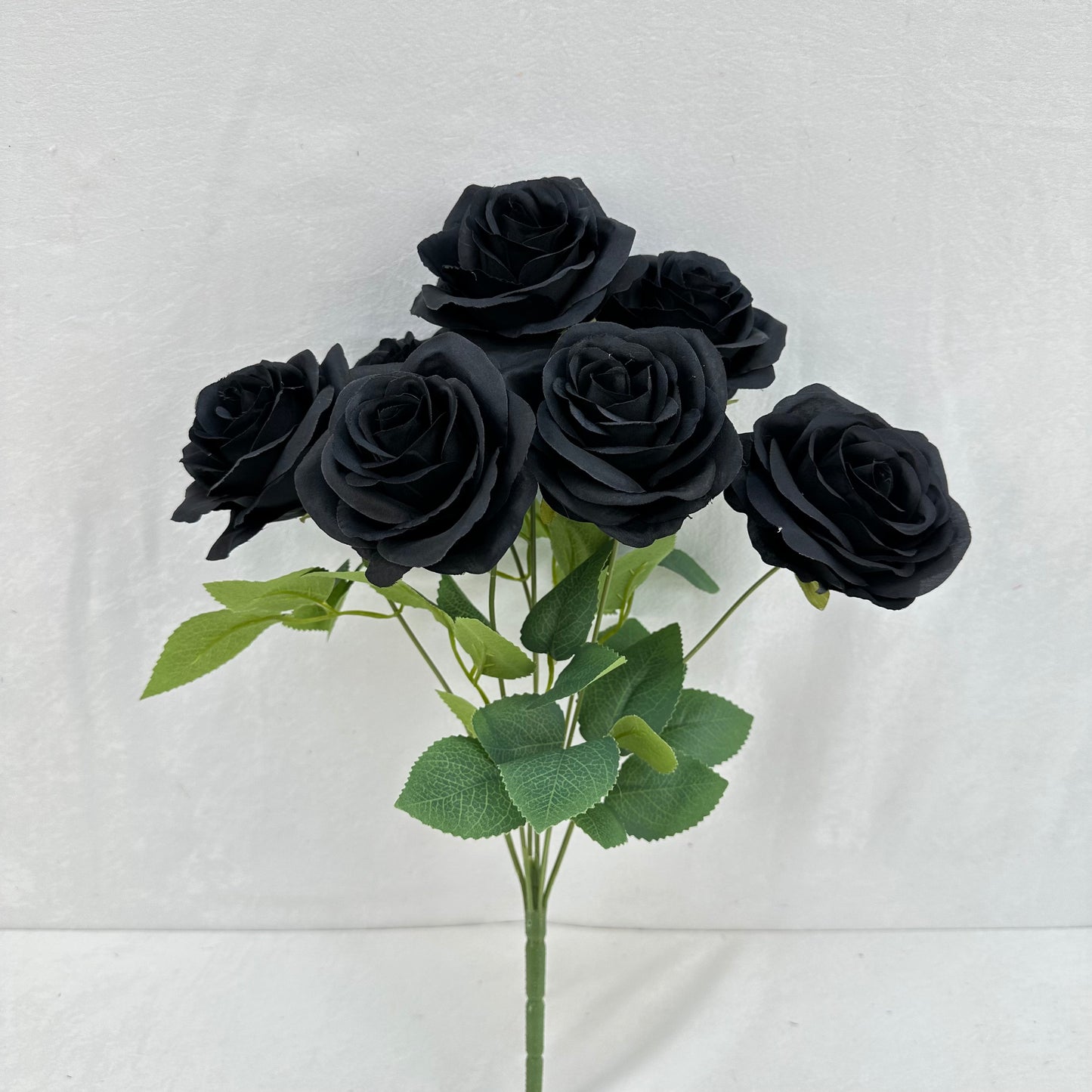 Black Silk Happiness Rose Bush - 7 Heads