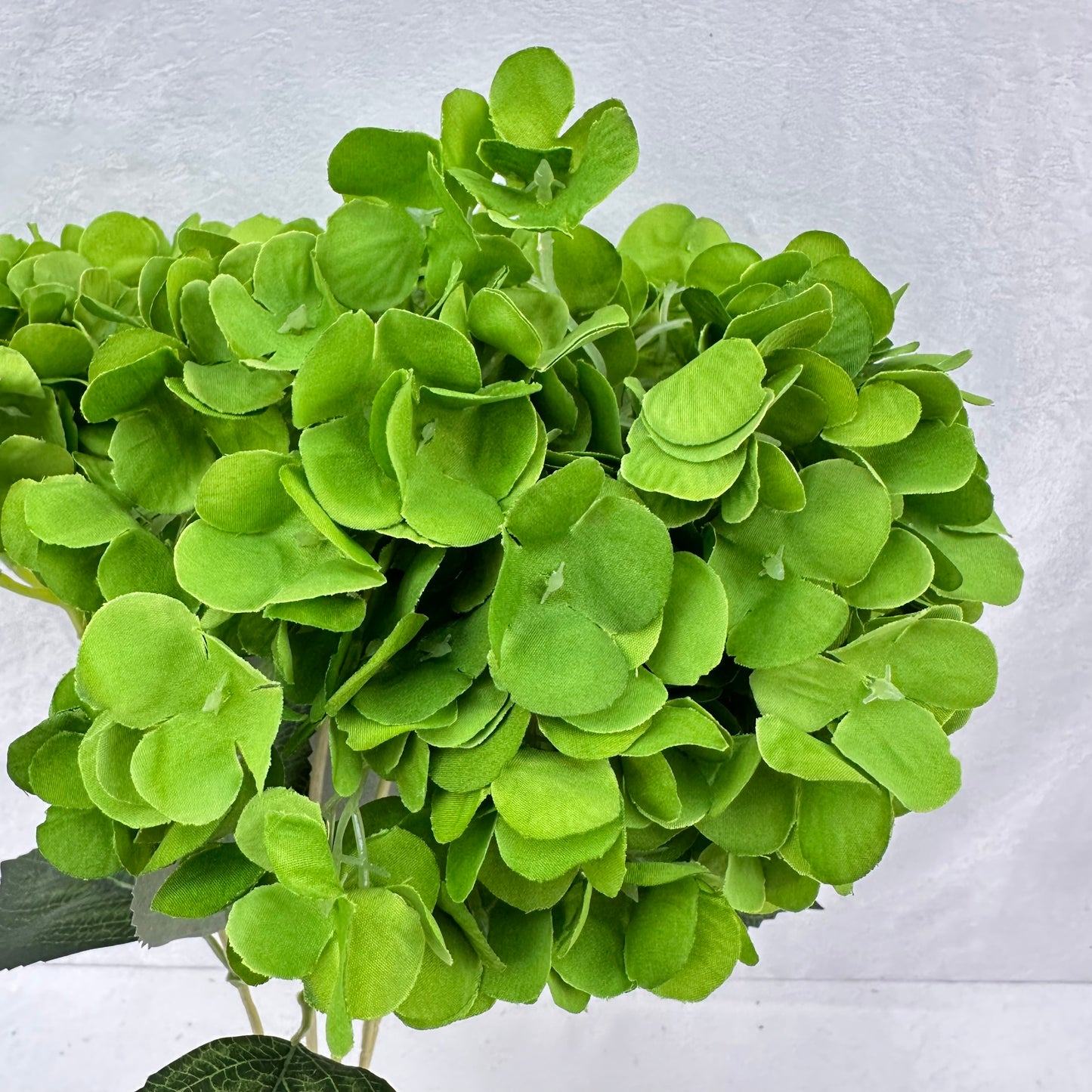 Green Silk French Hydrangea Bush - 5 Heads