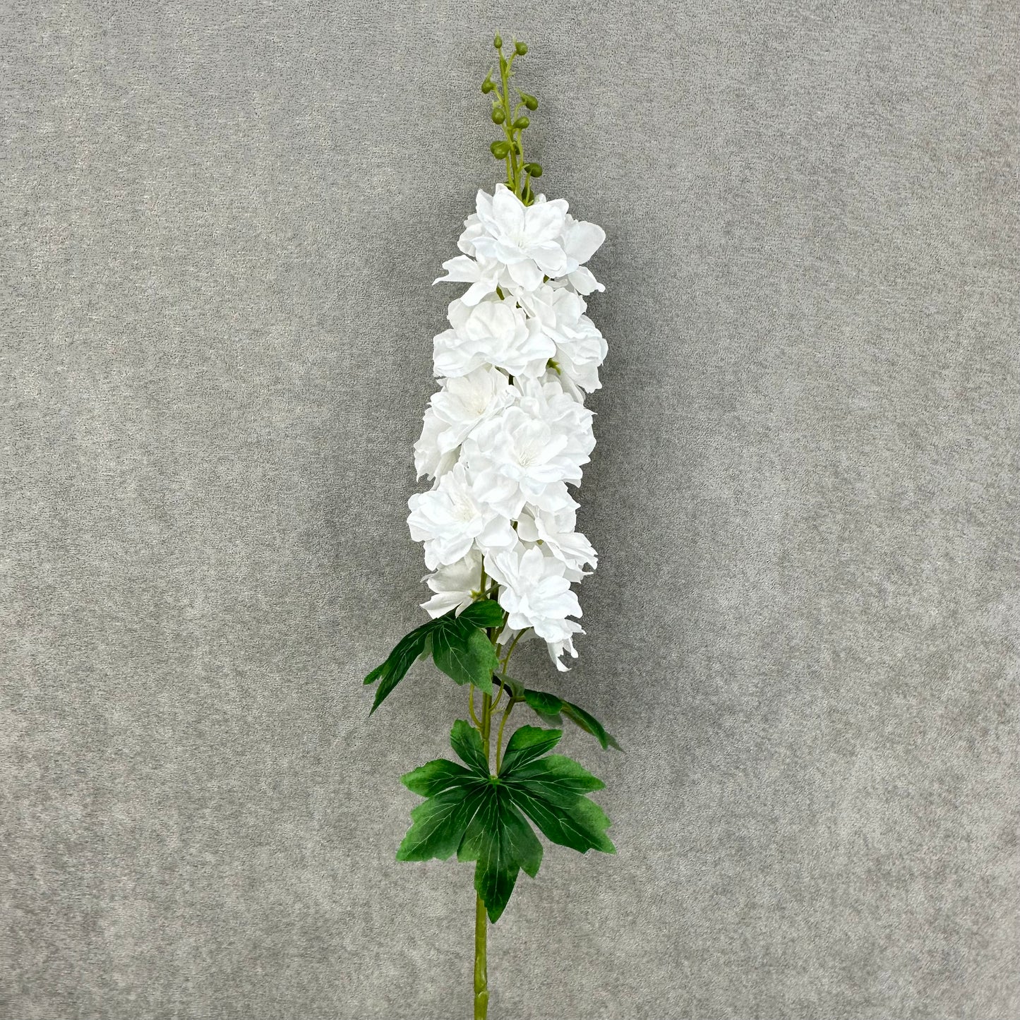White Silk Spring Larkspur Stem