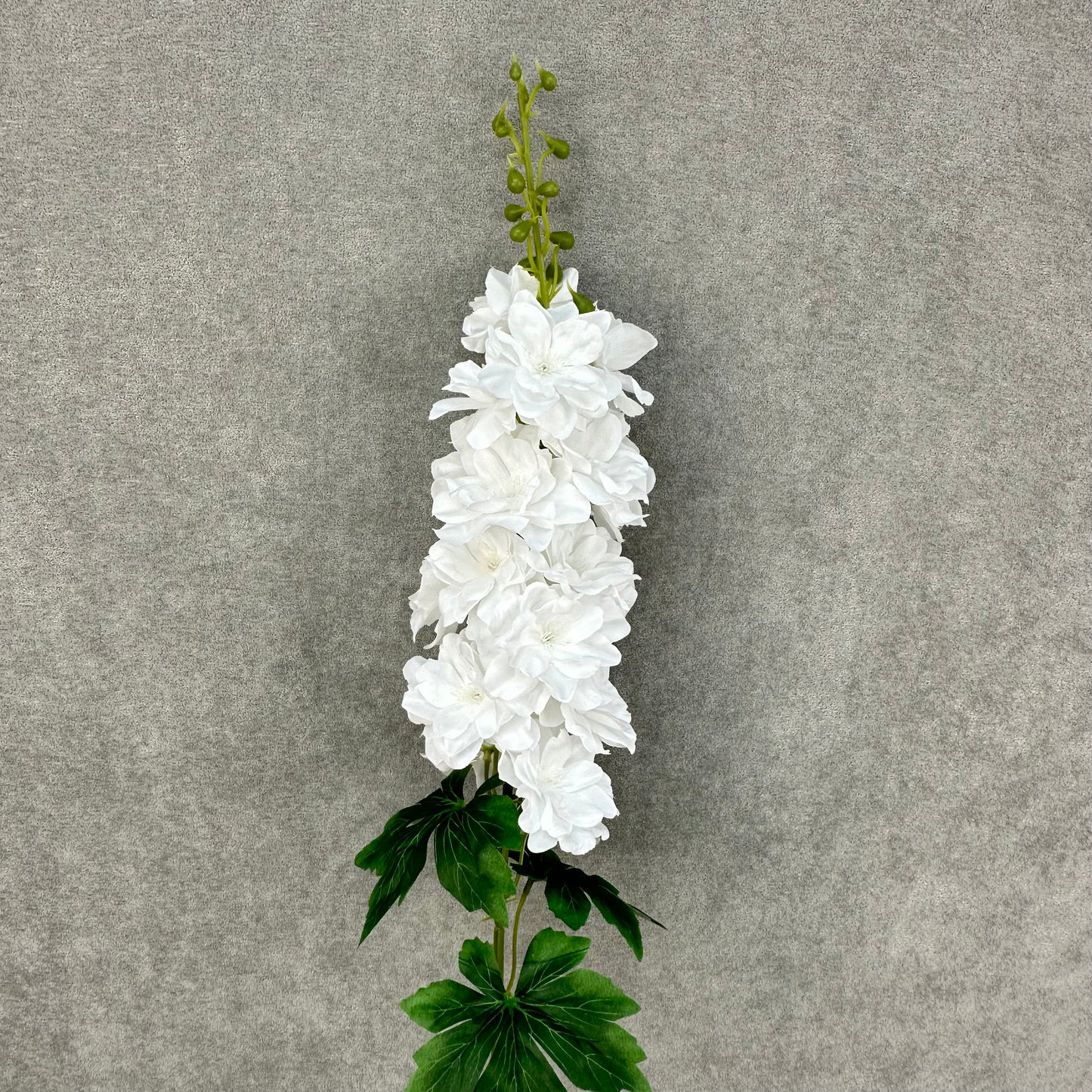 White Silk Spring Larkspur Stem
