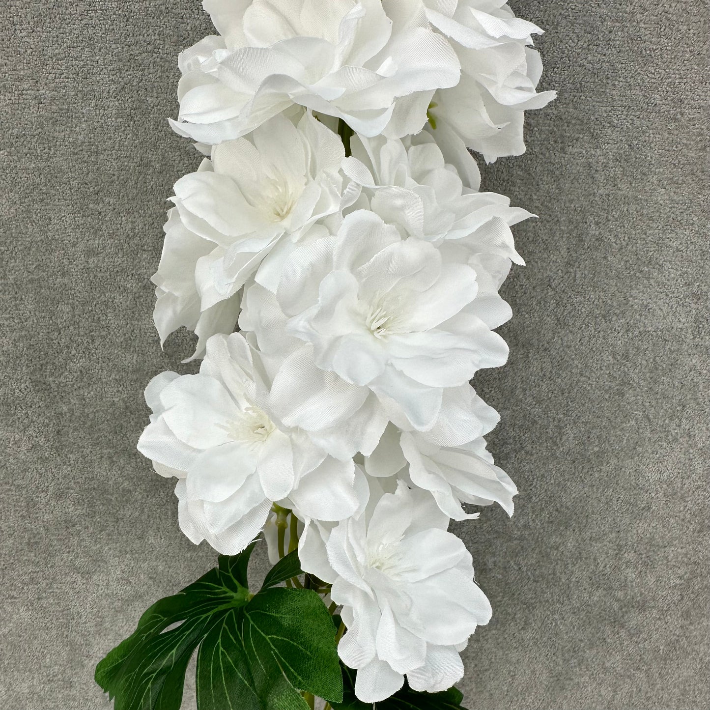 White Silk Spring Larkspur Stem