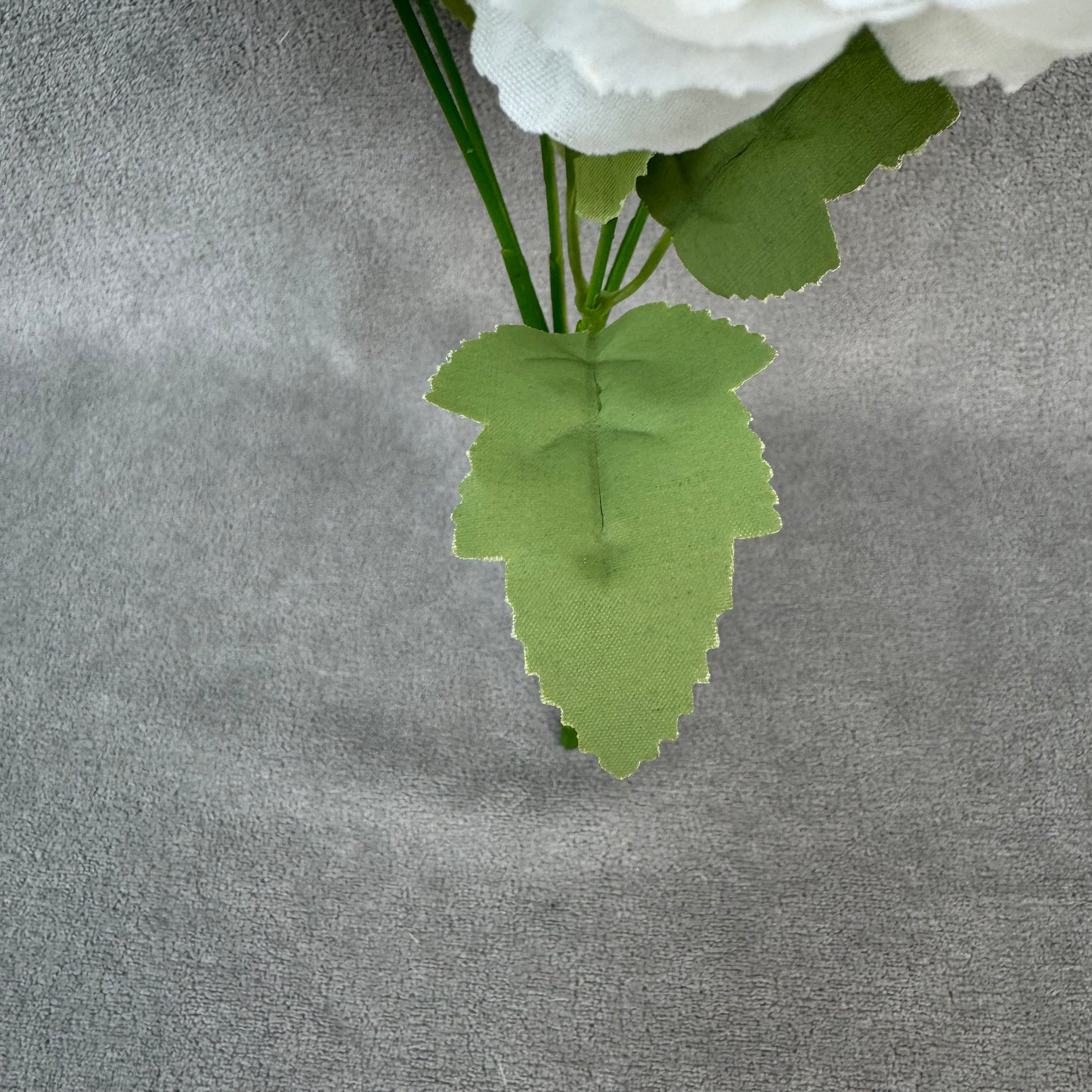 White Silk Peony Bush - 5 Heads