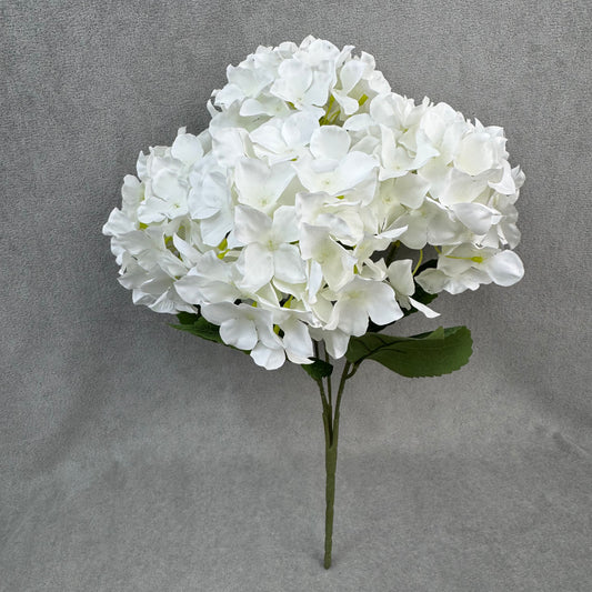 White Silk Amaranthus Stem