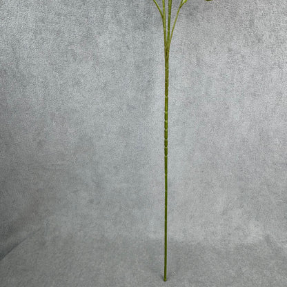 White Silk Empress Rose Bush - 8 Heads