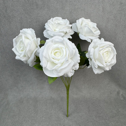 White Silk Star Moon Rose Bush - 7 Heads
