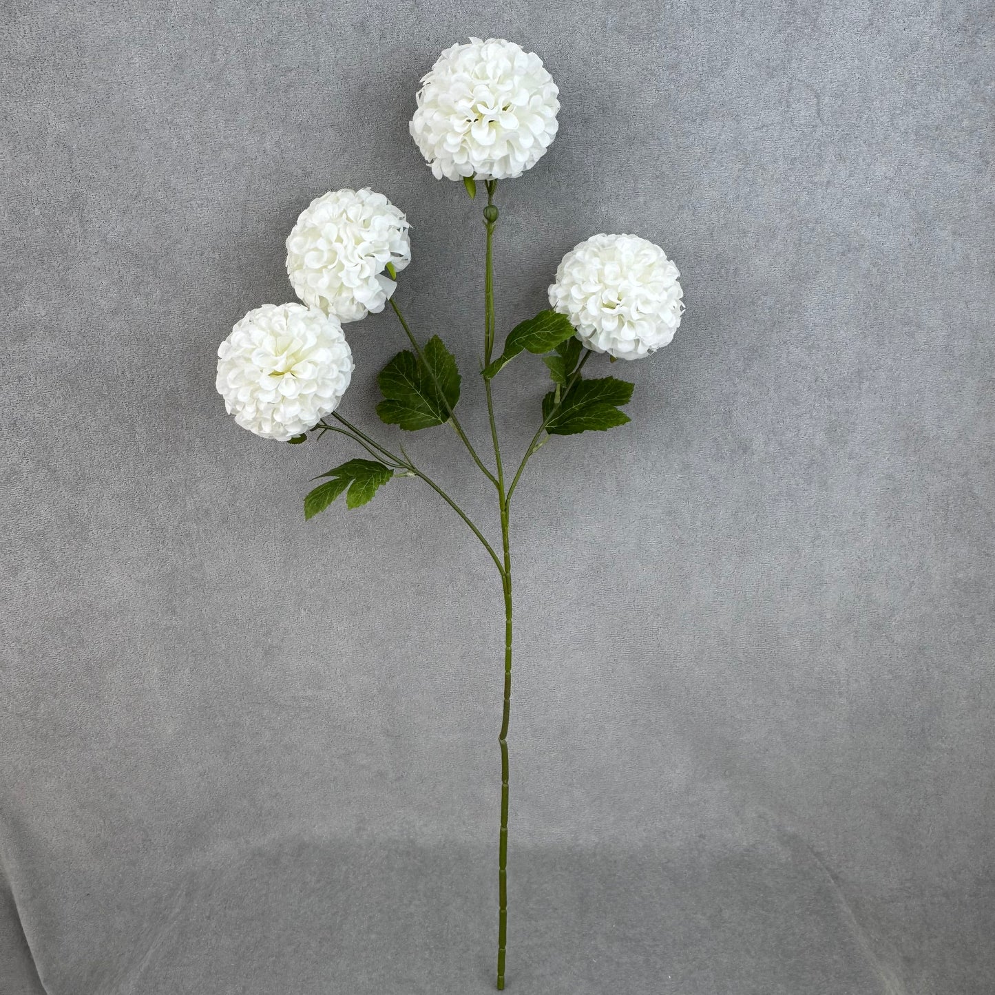 White Silk Hibiscus Ball Bush - 4 Heads