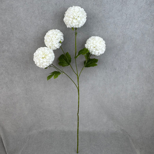 White Silk Hibiscus Ball Bush - 4 Heads