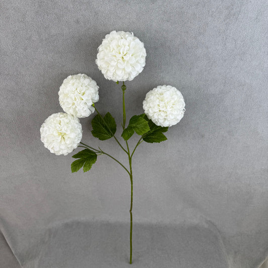 White Silk Hibiscus Ball Bush - 4 Heads