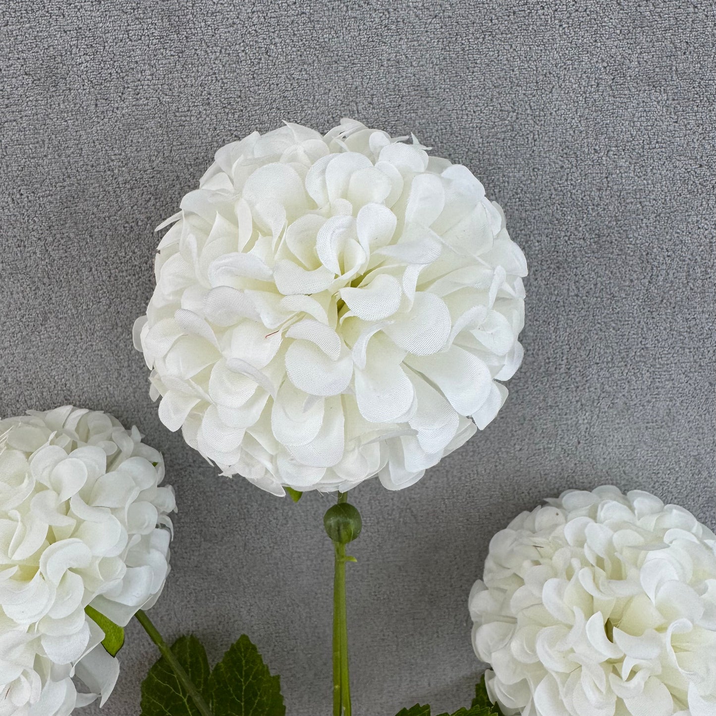White Silk Hibiscus Ball Bush - 4 Heads