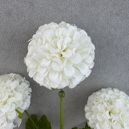 White Silk Hibiscus Ball Bush - 4 Heads