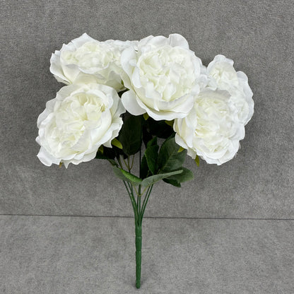 White Silk Austin Rose Bush - 7 Heads