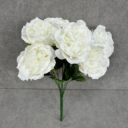 White Silk Austin Rose Bush - 7 Heads