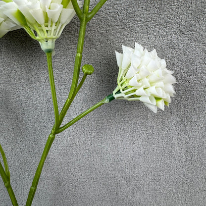 White Small Honeycomb Spray - 10 Heads