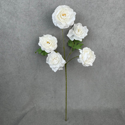 White Silk Princess Peony Bush - 5 Heads