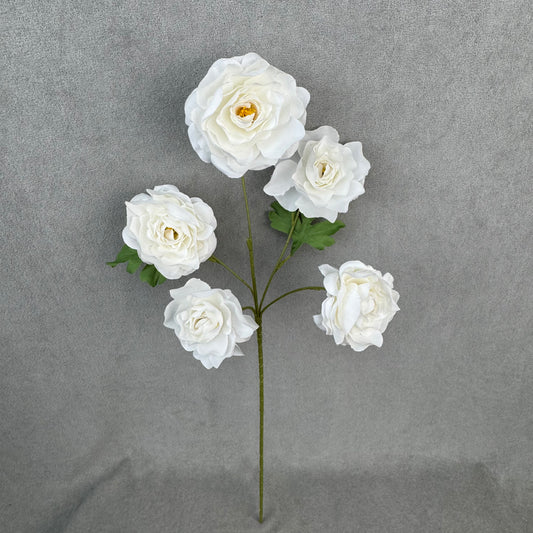 White Silk Princess Peony Bush - 5 Heads