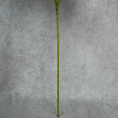 White Silk Princess Peony Bush - 5 Heads