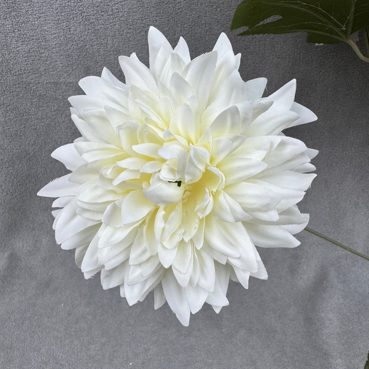 Ivory Silk Dahlia Bush - 7 Heads