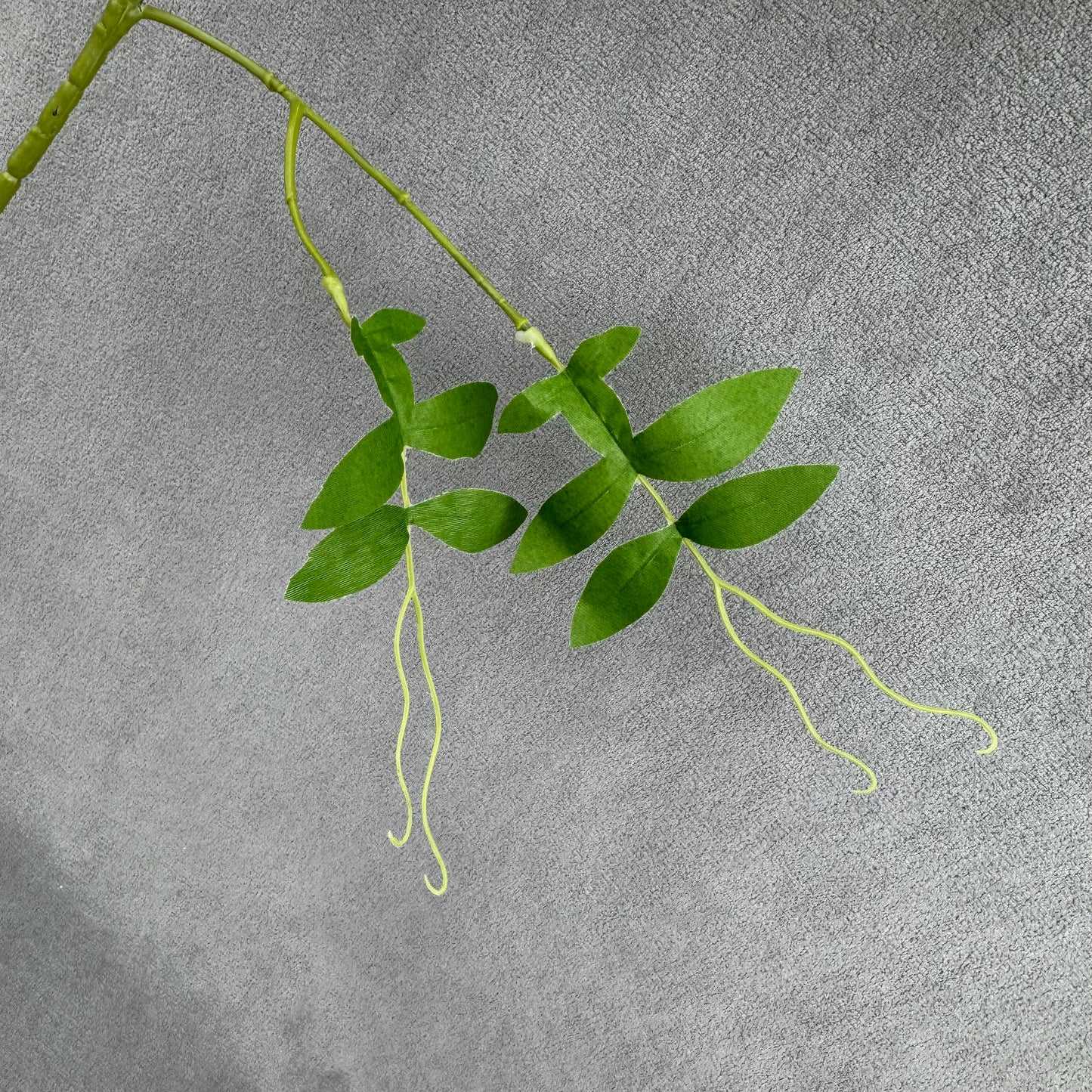 Ivory Silk Morning Glory Spray