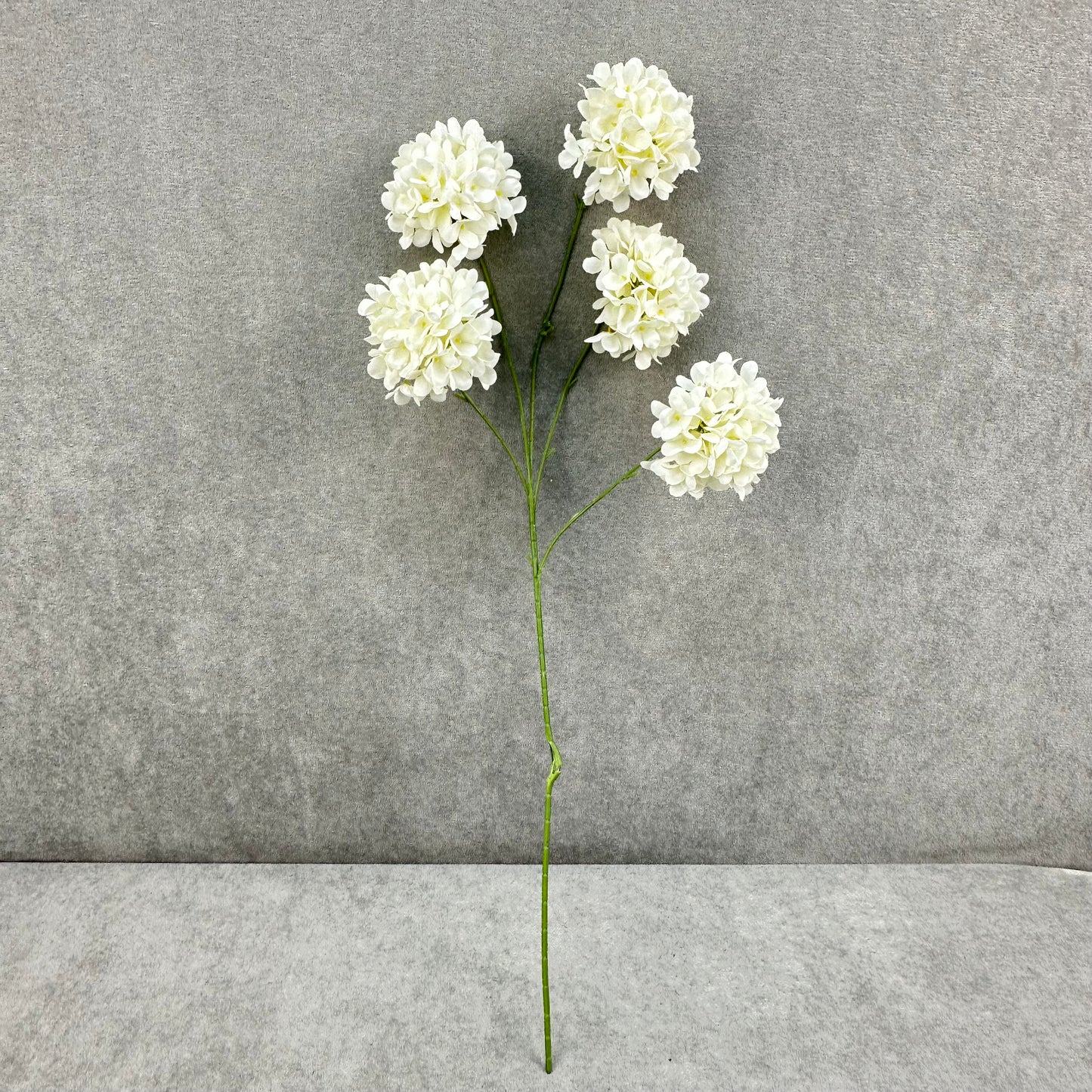 Ivory Silk Candy Hydrangea Bush - 5 Heads