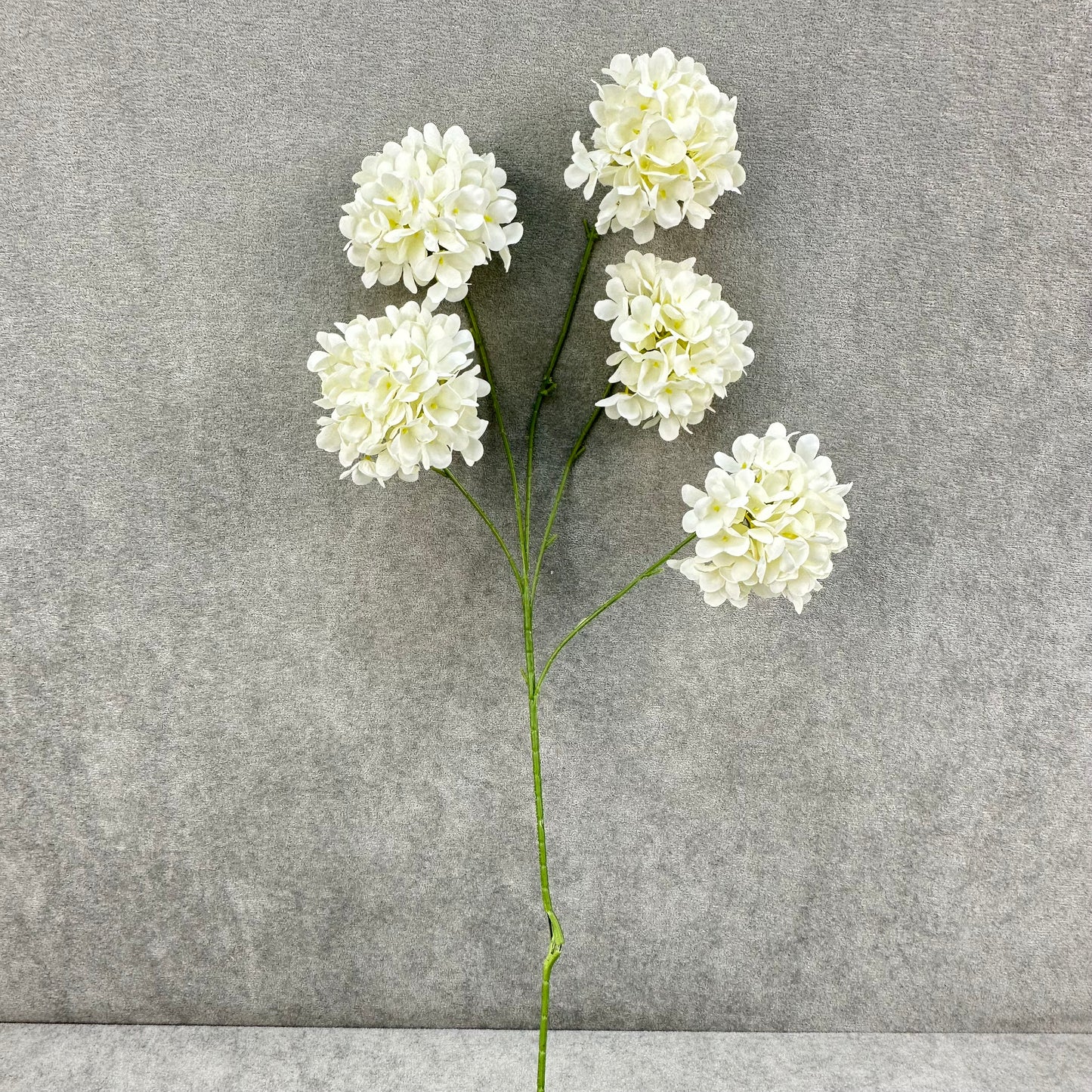 Ivory Silk Candy Hydrangea Bush - 5 Heads