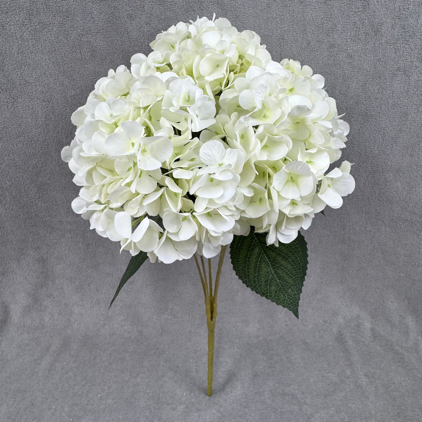 Ivory Silk French Hydrangea Bush - 5 Heads