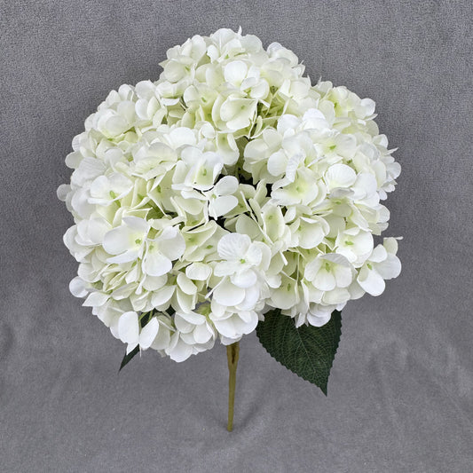 Ivory Silk French Hydrangea Bush - 5 Heads