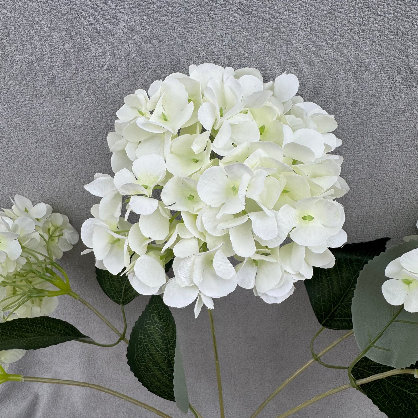 Ivory Silk French Hydrangea Bush - 5 Heads