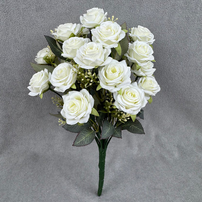 Ivory Silk Happiness Rose Bush - 24 Heads