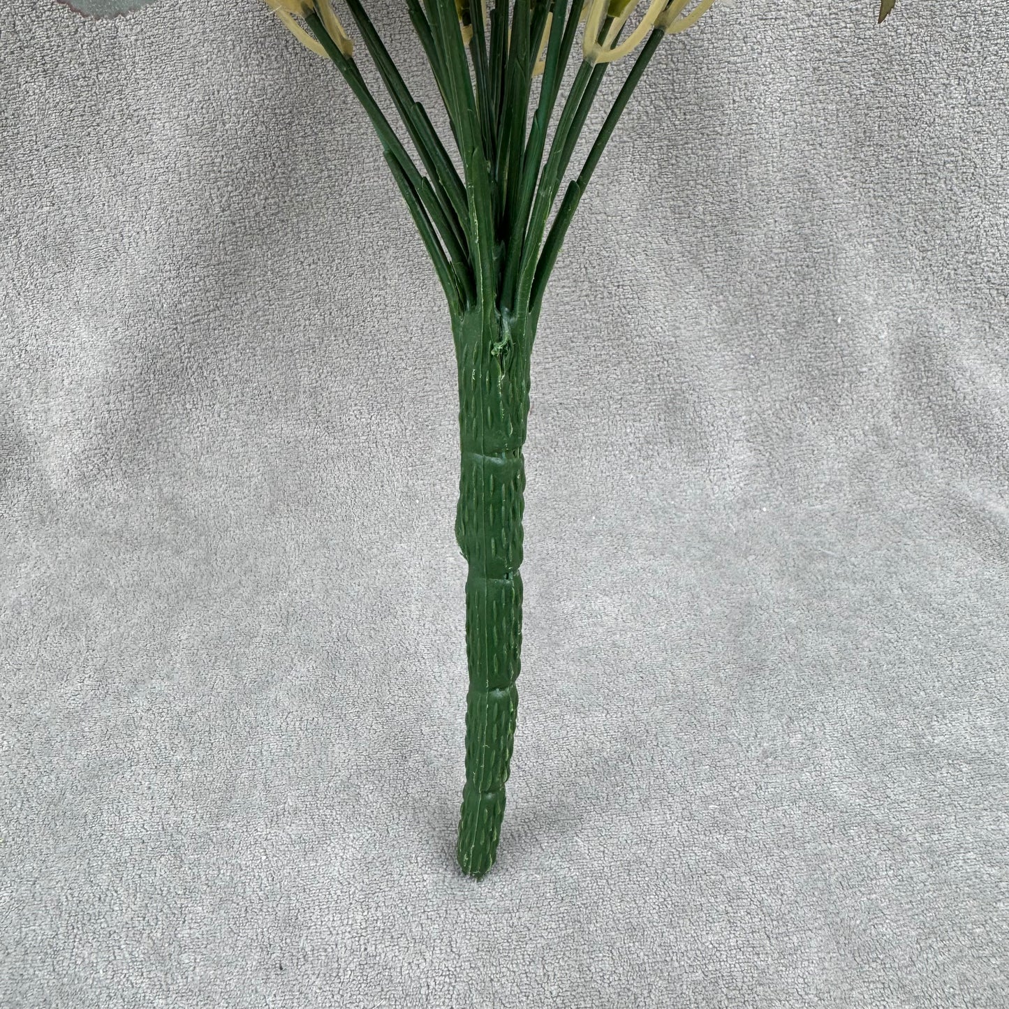 Ivory Silk Happiness Rose Bush - 24 Heads