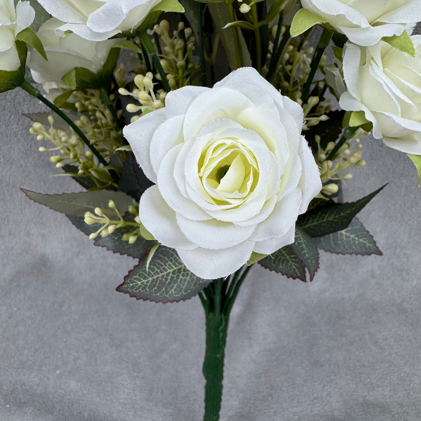 Ivory Silk Happiness Rose Bush - 24 Heads