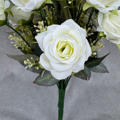 Ivory Silk Happiness Rose Bush - 24 Heads