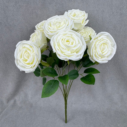 Ivory Silk Dream Empress Rose Bush - 9 Heads