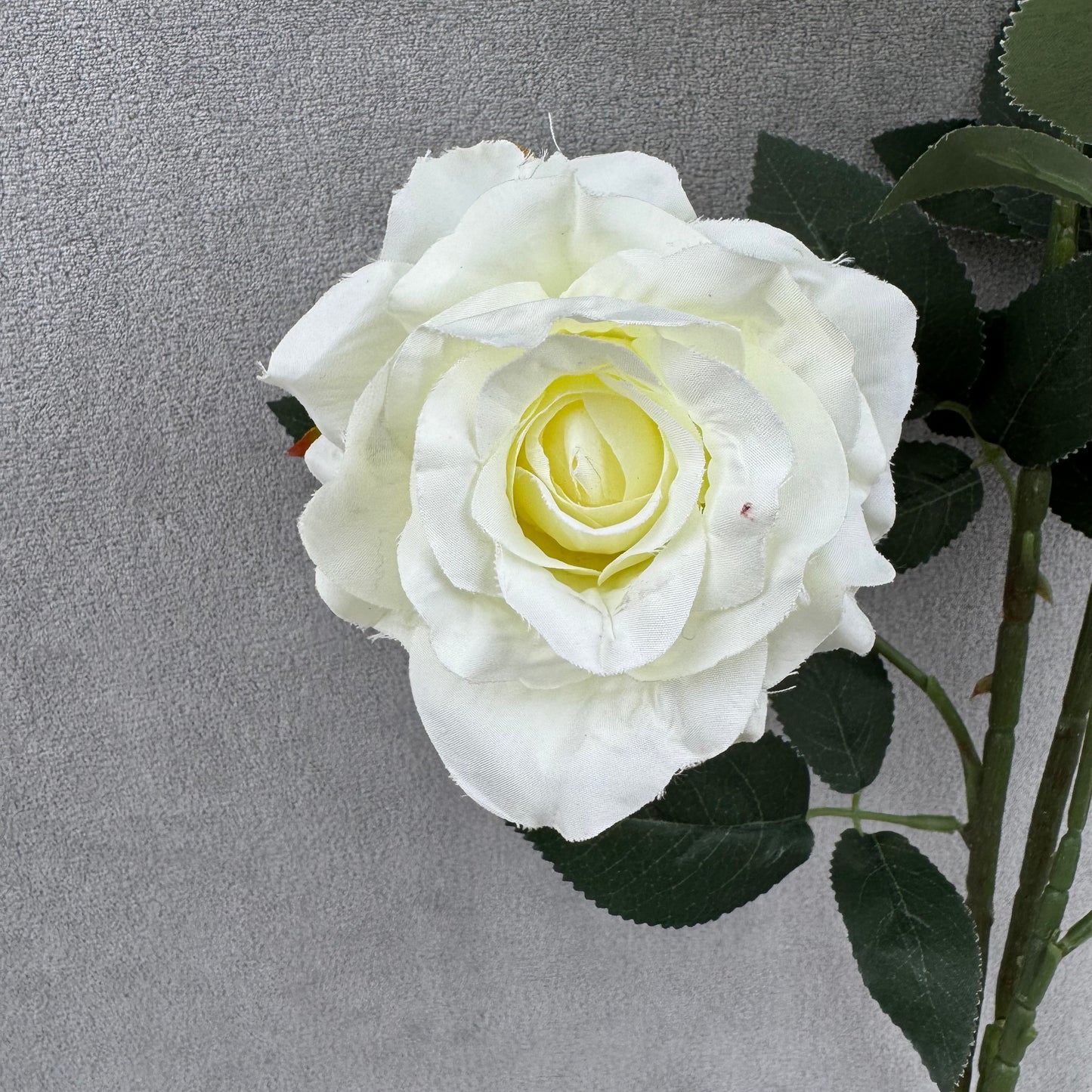 Ivory Silk Classic Rose Branch - 8 Heads