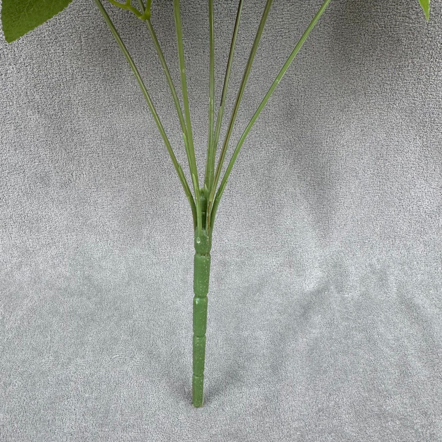 Ivory Silk Happiness Rose Bush - 7 Heads