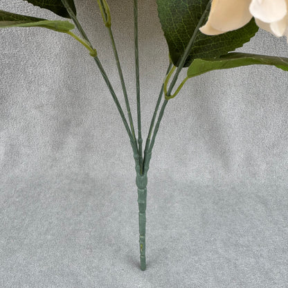Champagne Silk French Hydrangea Bush - 5 Heads