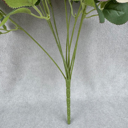 Champagne Silk Holland Rose Bush - 9 Heads