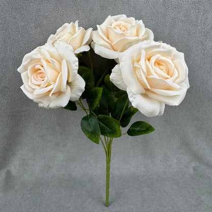 Champagne Silk Star Moon Rose Bush - 7 Heads