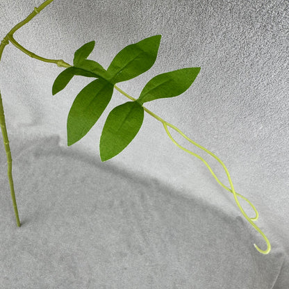 Champagne Silk Morning Glory Spray