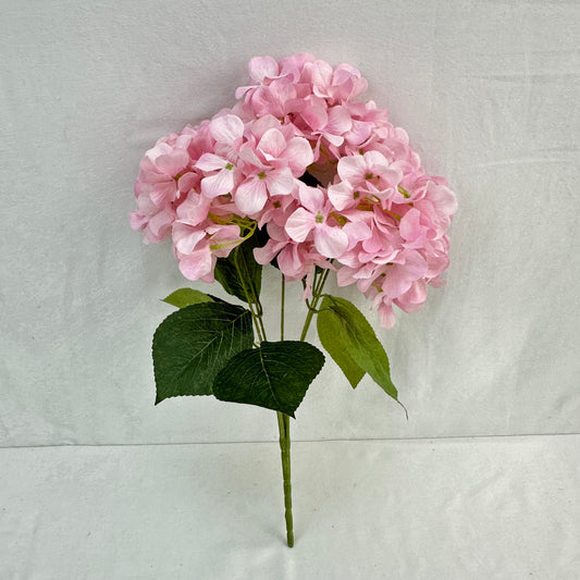 Pink Silk Print Hydrangea Bush - 5 Heads