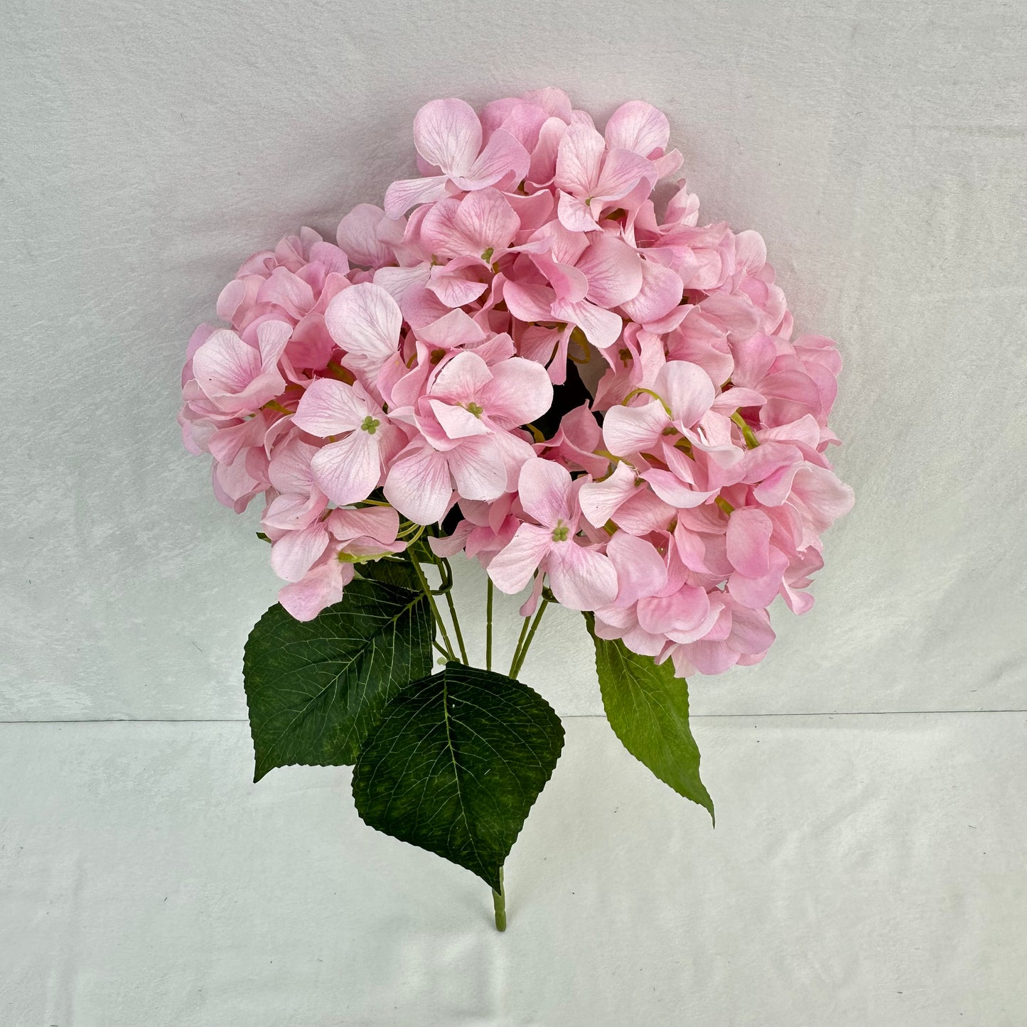 Pink Silk Print Hydrangea Bush - 5 Heads