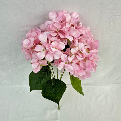 Pink Silk Print Hydrangea Bush - 5 Heads