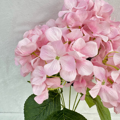 Pink Silk Print Hydrangea Bush - 5 Heads