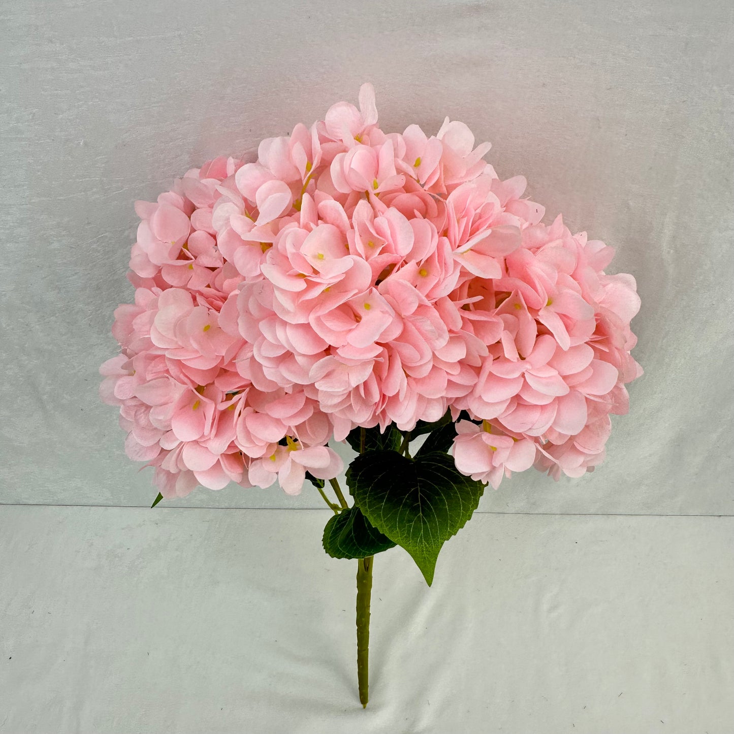 Pink Silk French Hydrangea Bush - 5 Heads