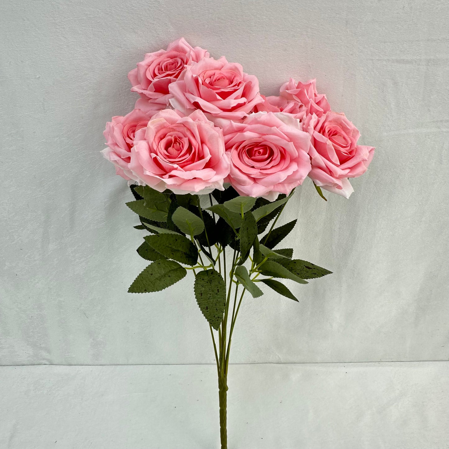 Pink Silk Diamond Rose Bush - 9 Heads
