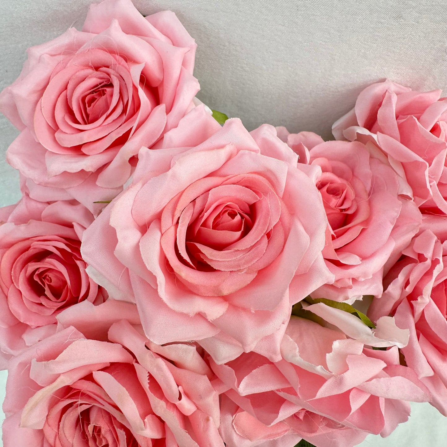 Pink Silk Diamond Rose Bush - 9 Heads