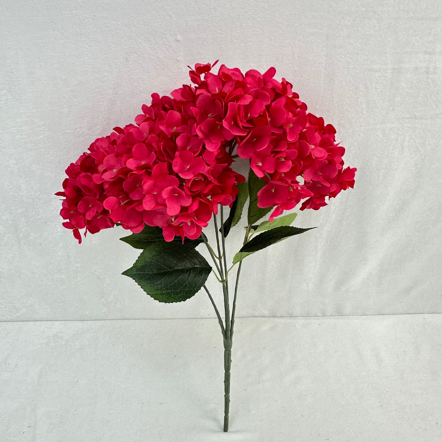 Pink Silk French Hydrangea Bush - 5 Heads